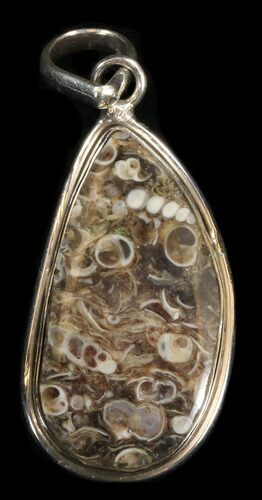 Fossil Turritella (Gastropod) Pendant - Sterling Silver #38112